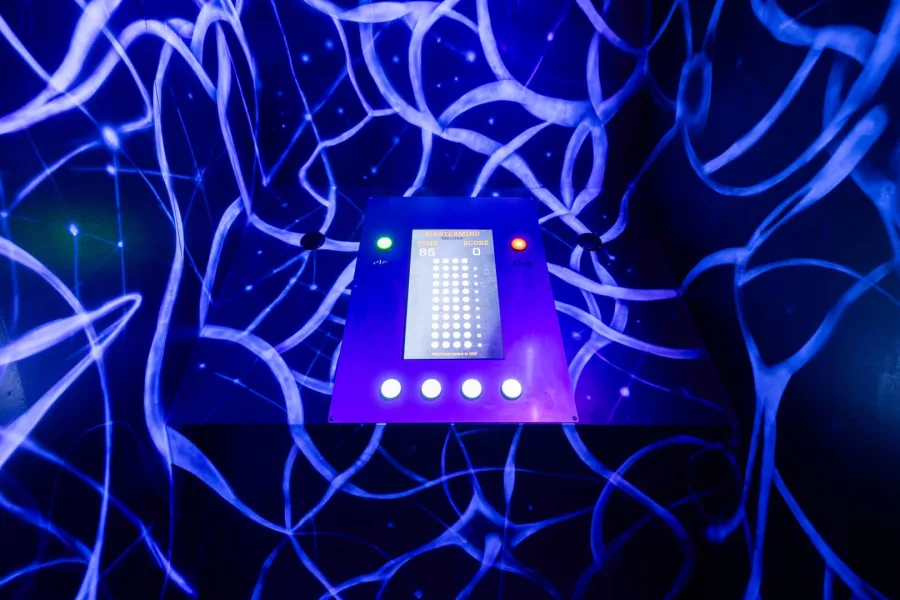 Prison Island Experience